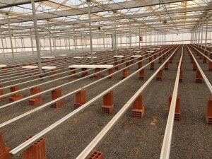 Invernadero para semillero hortícola